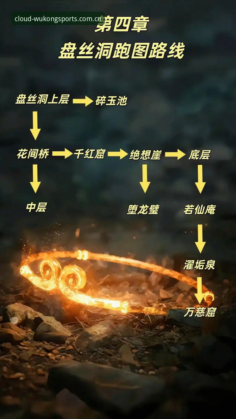 为什么悟空体育快速登录最新版成为赛事数据爱好者的首选？