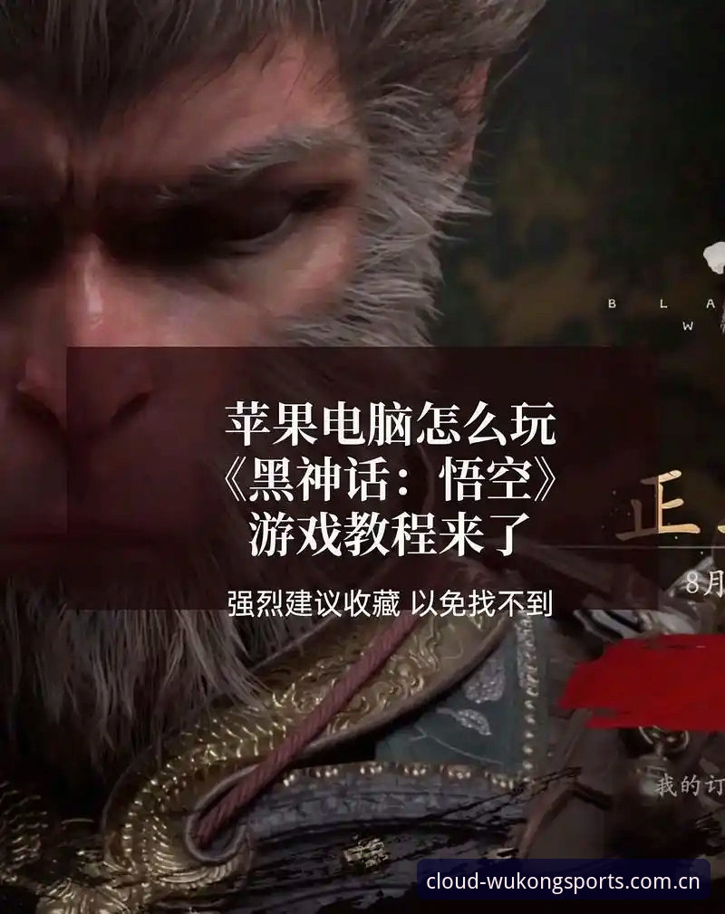 悟空体育电脑版下载怎么样：PC网页端与客户端实测对比